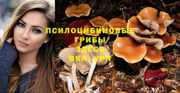тгк Алексин
