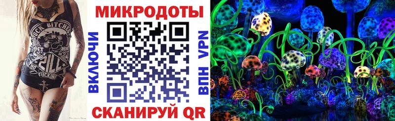 где купить наркоту  Пошехонье  Псилоцибиновые грибы Psilocybine cubensis 